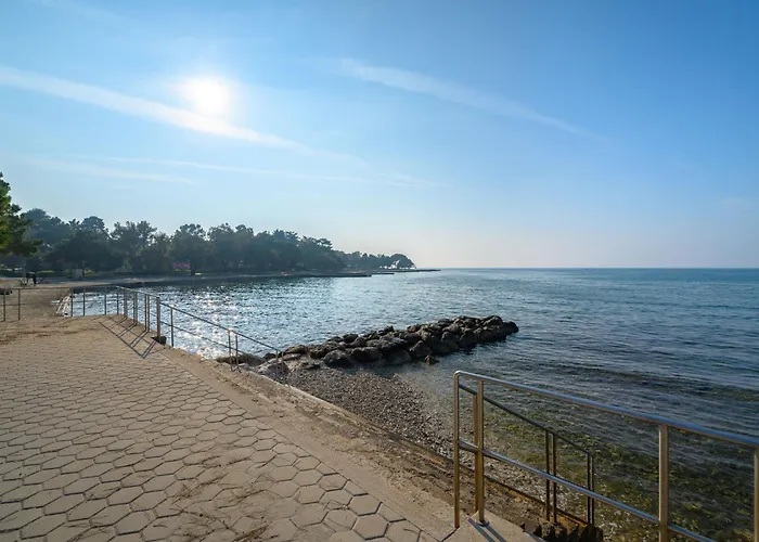 Appartement Rita By Interhome *